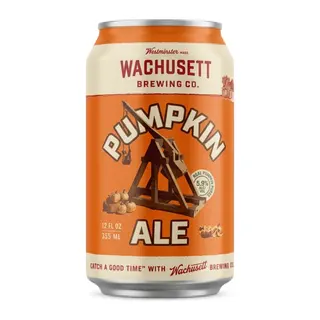 Wachusett Pumpkin Ale Seasonal, 12 Pack