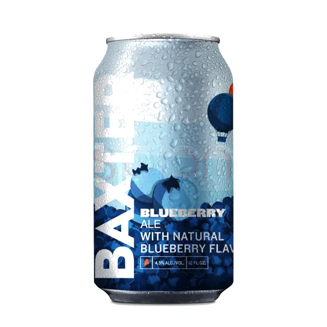 Baxter Blueberry Ale 16 OZ at CBC Liquors, Westford, Westford MA