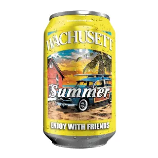 Wachusett Summer Ale, 6 Pack
