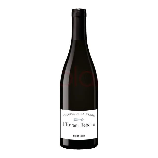 L'Enfant Rebelle Pinot Noir 750 ML at CBC Liquors, Westford, Westford MA