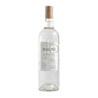 Sauvignon Blanc