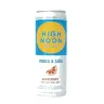 High Noon Hard Seltzer Grapefruit