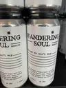 Wandering Soul Things We Dont Say