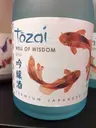 Tozai Well Of Wisdom