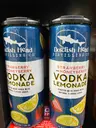Dogfish Head Strawberry Vodka Lemonade