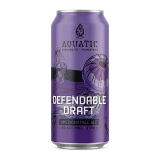 DEFENDABLE DRAFT DEFENDABLE DRAFT