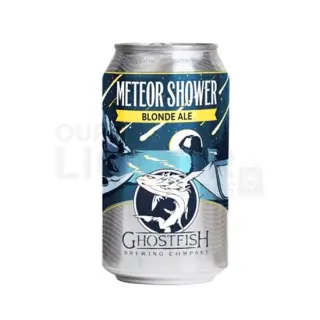Meteor Shower Meteor Shower