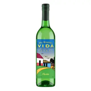 Vida Puebla Vida Puebla
